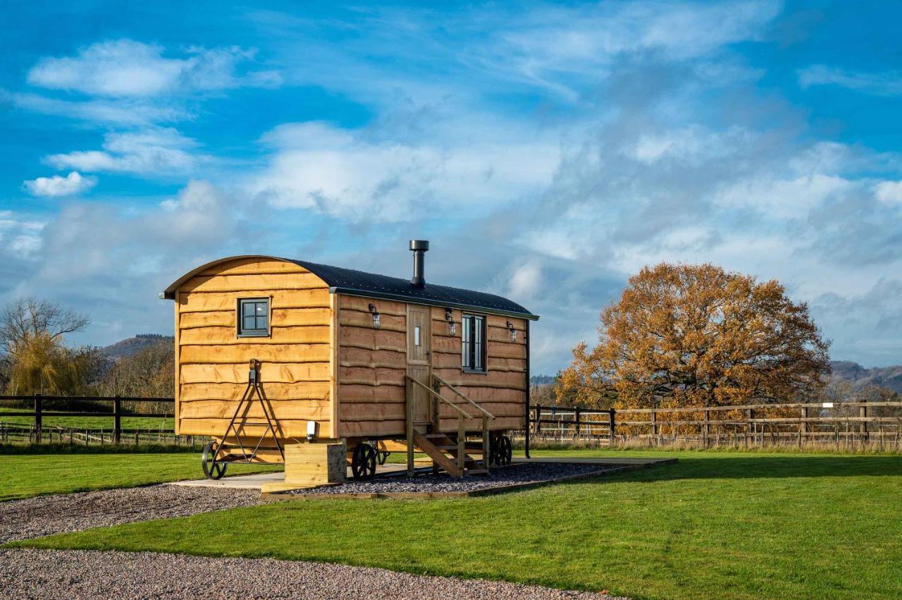 Monkwood Shepherds Hut - Ockeridge Rural Retreats Устър Екстериор снимка