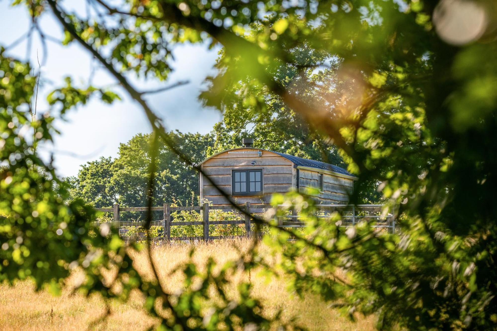Monkwood Shepherds Hut - Ockeridge Rural Retreats Устър Екстериор снимка